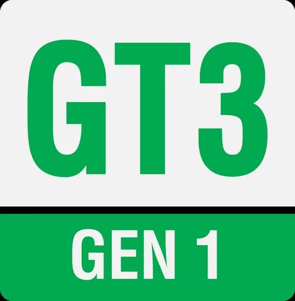 Logo da classe GT3