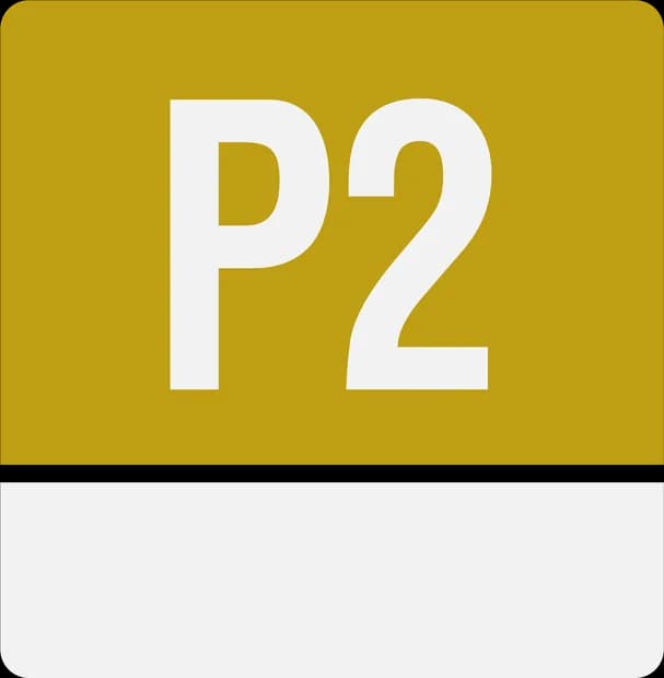 P2 class logo