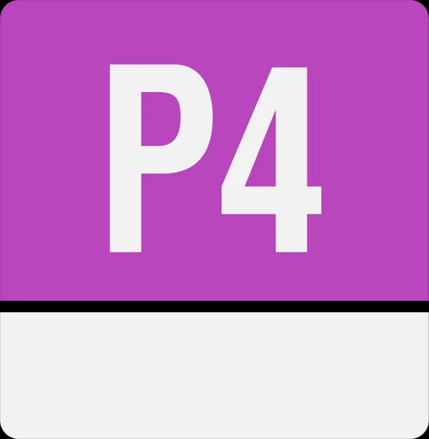 P4 class logo