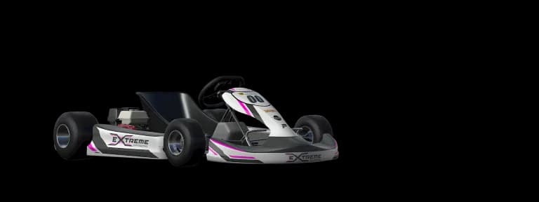 Kart 4-Stroke Race dans Automobilista 2