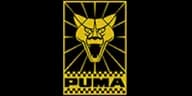 Marca de Puma GTE