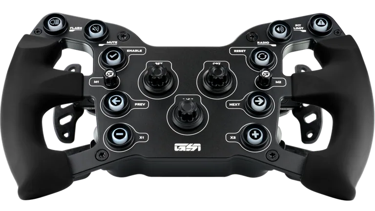 GSI X-29